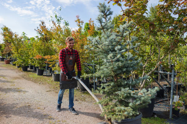 Best Commercial Tree Services  in Tres Arroyos, NM